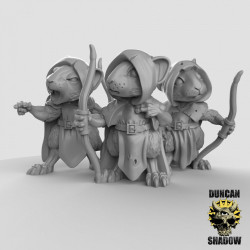 Duncan Shadow - Souris archer   (2)