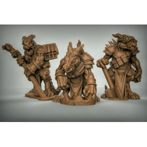 Impression 3D figurines jeux de rôle D&D, Saga, 9th Age, Trappeurs dragons