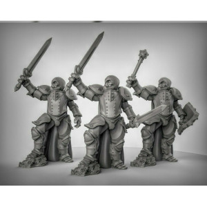 Impression 3D figurines jeux de rôle D&D, Saga, 9th Age, Warforged guerriers 1
