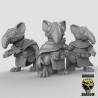 Figurines Anthropomorphes Duncan Shadow – Impression 3D pour Wargames et Jeux de Rôle
