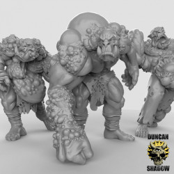 Duncan Shadow - Orcs mutant   (2)