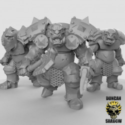 Duncan Shadow - Orcs avec armure lourde   (2)