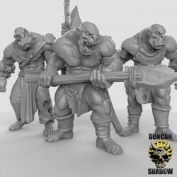 Duncan Shadow - Orcs avec lance   (2)