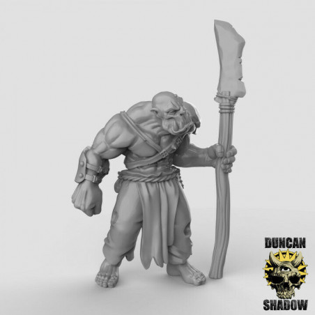 Orques & Gobelins – Duncan Shadow Miniatures – Figurines 3D pour Wargames & Jeux de Rôle
