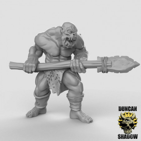 Orques & Gobelins – Duncan Shadow Miniatures – Figurines 3D pour Wargames & Jeux de Rôle
