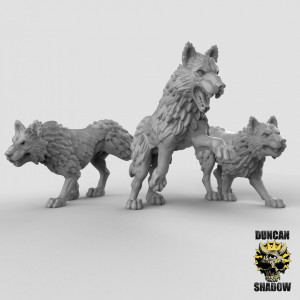 Impression 3D figurines jeux de rôle D&D, Saga, 9th Age, Loups