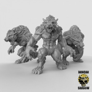 Impression 3D figurines jeux de rôle D&D, Saga, 9th Age, Loups garous