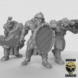 Duncan Shadow - Orcs épée bouclier   (2)
