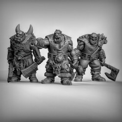 Duncan Shadow - Guerriers ogres   (2)