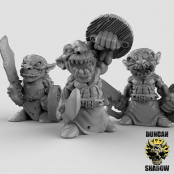 Duncan Shadow - Guerriers gobelins   (2)