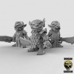 Duncan Shadow - Guerriers gobelins (2)   (2)