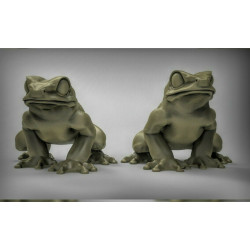 Duncan Shadow - Grenouilles  (2)