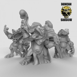 Duncan Shadow - Grenouilles sorciers   (2)