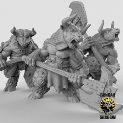 Duncan Shadow - Guerriers minotaures 2   (2)