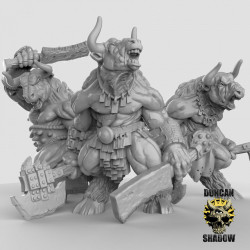 Duncan Shadow - Guerriers minotaures 1   (2)