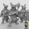 Figurines Anthropomorphes Duncan Shadow – Impression 3D pour Wargames et Jeux de Rôle
