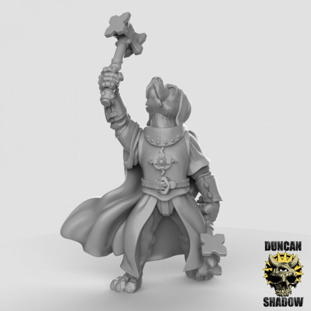 Figurines Anthropomorphes Duncan Shadow – Impression 3D pour Wargames et Jeux de Rôle
