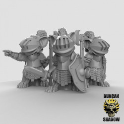 Duncan Shadow - Chevaliers souris   (2)
