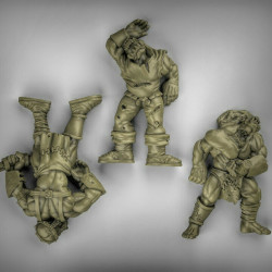 Duncan Shadow - Cadavres Orcs   (2)
