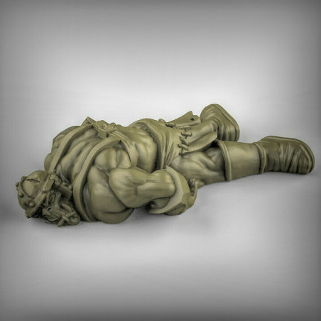 Orques & Gobelins – Duncan Shadow Miniatures – Figurines 3D pour Wargames & Jeux de Rôle
