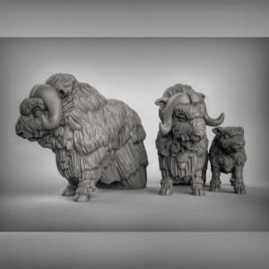 Impression 3D figurines jeux de rôle D&D, Saga, 9th Age, Bœufs musqués