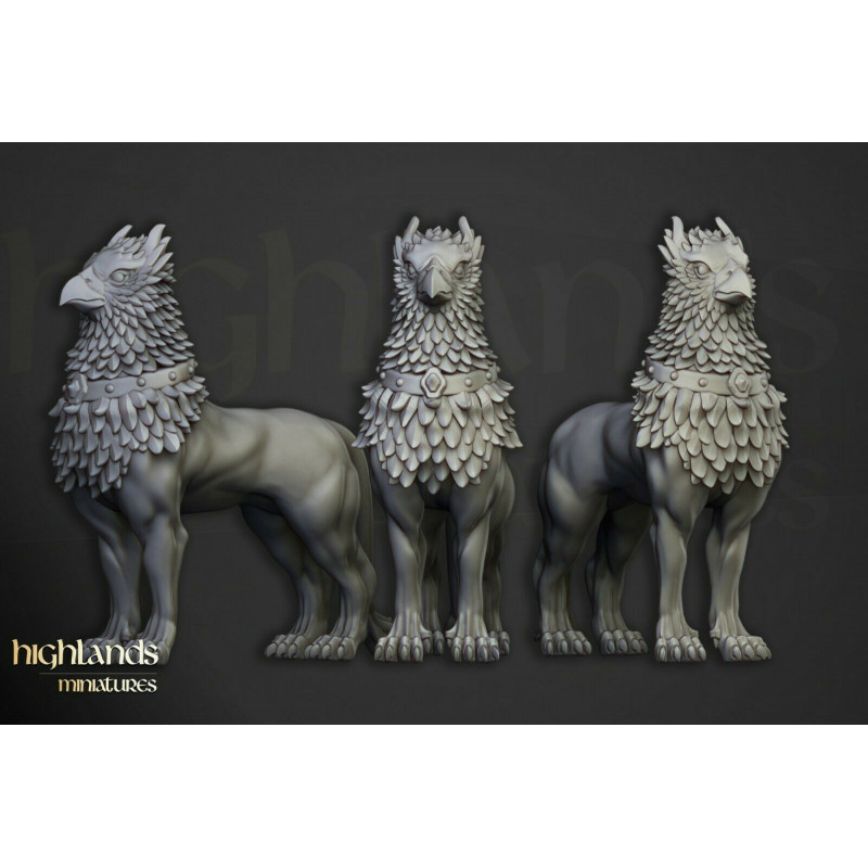 Higland Miniature Sunland - Cavaliers du Gryphon soleil Higland Miniature Sunland - Cavaliers du Gryphon soleil