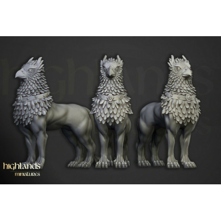  Higland Miniature Sunland - Cavaliers du Gryphon soleil Higland Miniature Sunland - Cavaliers du Gryphon soleil