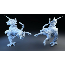 Nuée de vermine The infinite legion Héros sur rat ogre