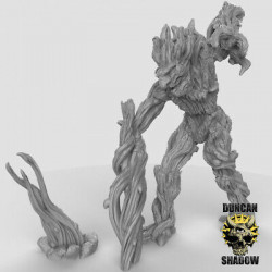 Duncan Shadow - Homme Arbre   (2)