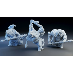 Nuée de vermine Brotherhood clan Initiate