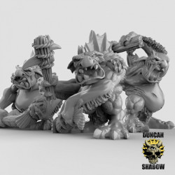 Duncan Shadow - Trolls des marécages   (2)