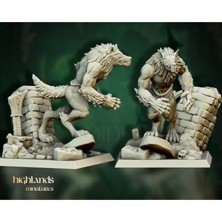 Higlands Miniature-Transilvanya Werewolves unit
