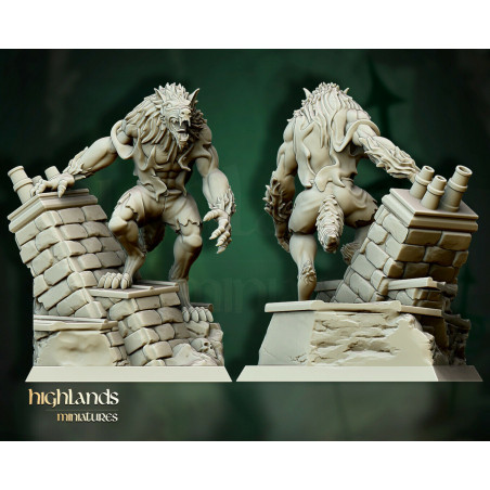 Higlands Miniature-Transilvanya Werewolves unit