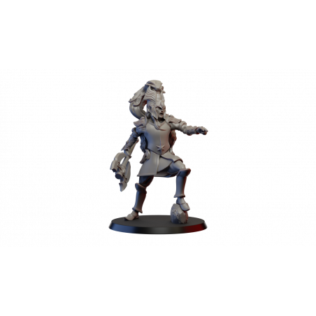 Figurines Elfes Ghamak – Grâce, Précision et Puissance Magique

