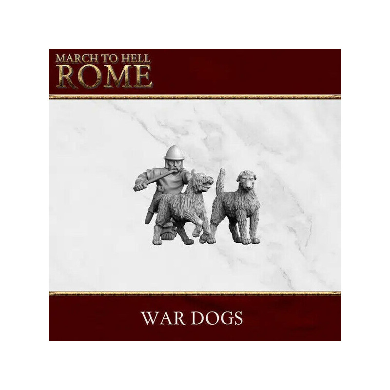  Figurines Celtes 28 mm – Résine 3D Breed Miniatures