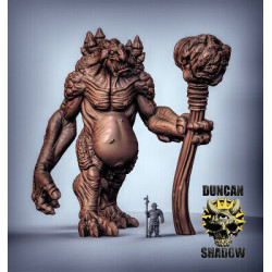 Duncan shadow - Troll Géant  (2)