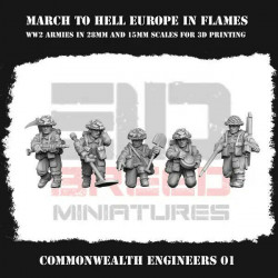 Commonwealth engineers 01  (2)