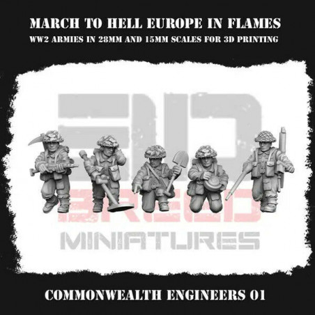 Commonwealth Ingénieurs