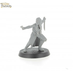 3D figurine 28mm Jeux de rôle/Cthulu-Femme elfe 2 épées