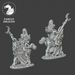 Forest Dragon impréssion 3d-Sorcière elfe noir a cheval échelle 15mm