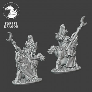 Forest Dragon impréssion 3d- Sorciere elfe noir a cheval 10mm