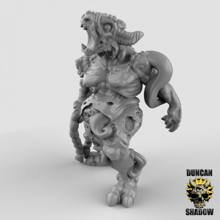  Figurines de Démons 3D – Duncan Shadow Miniatures | La Boîte à Rabiots