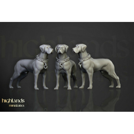 Higland Miniature Sunland - Inquisition/ClergéHigland Miniature Sunland - Inquisition/Clergé
