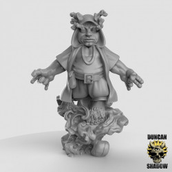 Duncan Shadow - Sorcier Halfing  (2)
