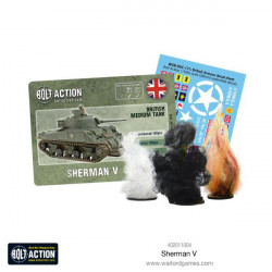 Bolt Action Char Sherman V (2)