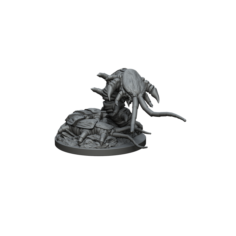 Impréssion 3d Scolopandre géant