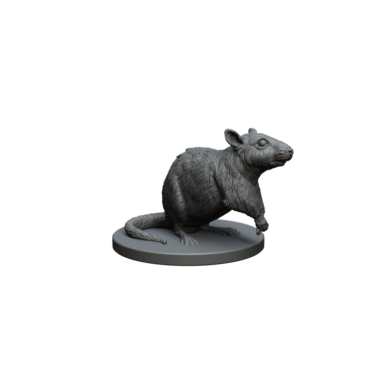 Impréssion 3d Rat