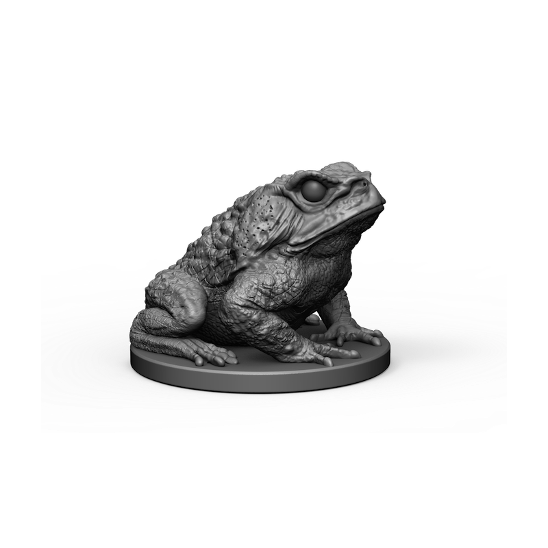 Impréssion 3d Crapeau géant