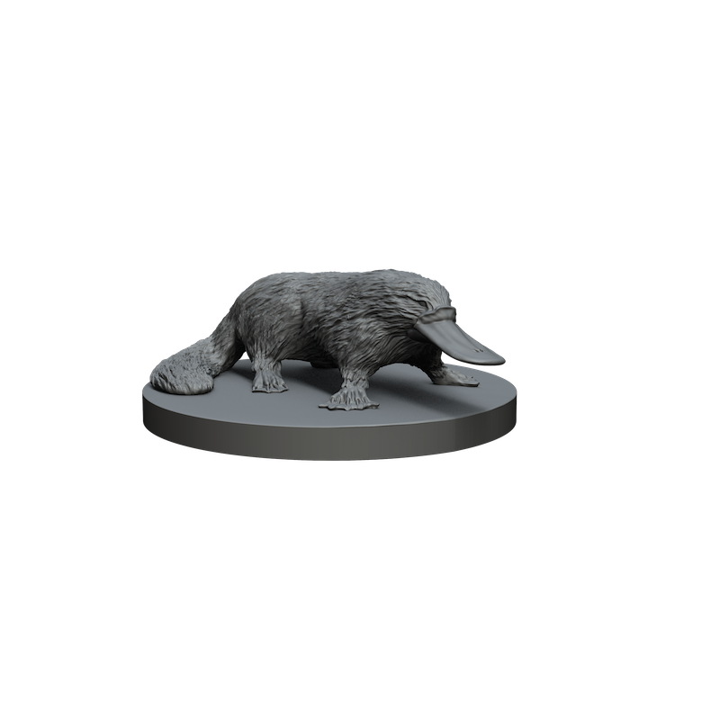 Impréssion 3d Ornithorynque