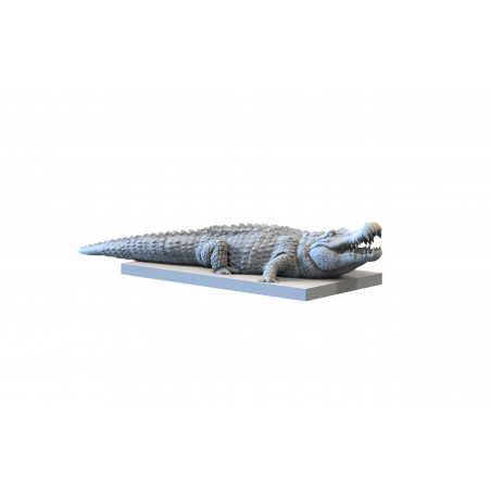 Impréssion 3d Crocodile